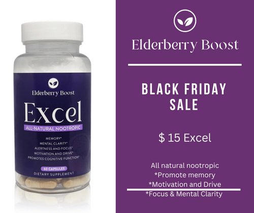 Black Friday Excel Sale $15 - Elderberry Boost, LLC